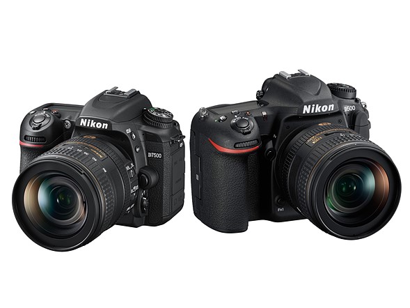 D7500 vs Nikon D500
